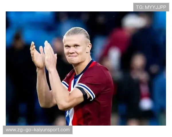 哈兰德点球与禁区表现数据引媒体热议，哈兰德精选